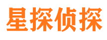 安源市侦探调查公司